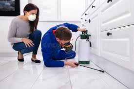 Best Emergency Pest Control  in Bernice, LA